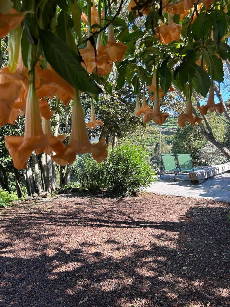 La Casita Del Lagar Villa Cerrogordo Luaran gambar
